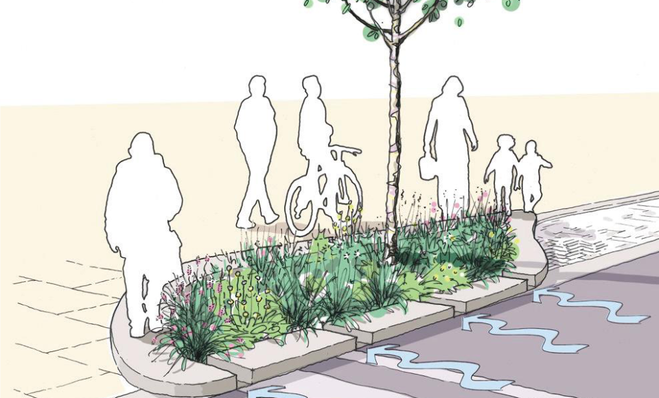 Suds Rain Garden drawing